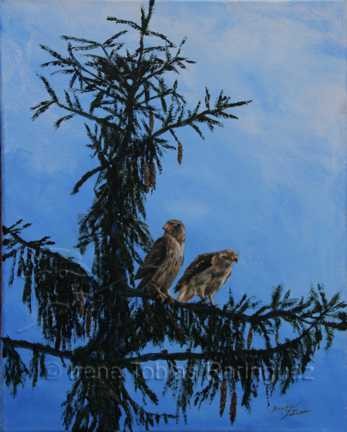 Out on a Limb