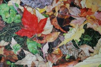 Red Leaf