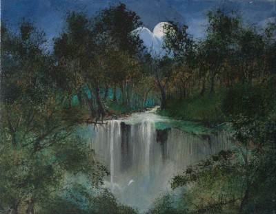 Jungle Night